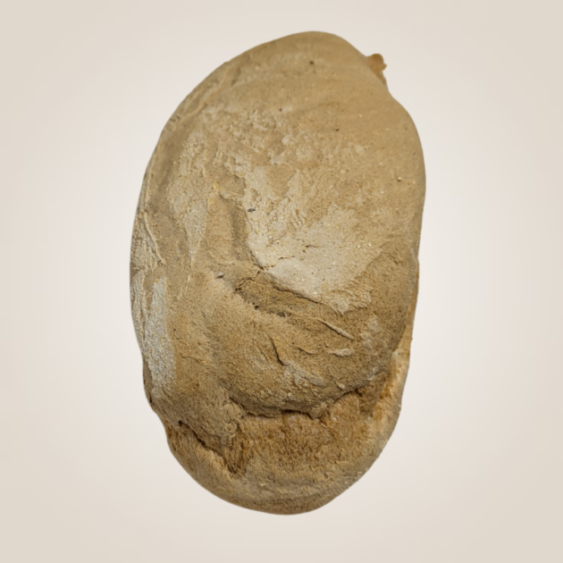 Filone di Pane (450g)