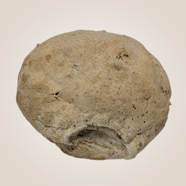 Pane Integrale (120g)