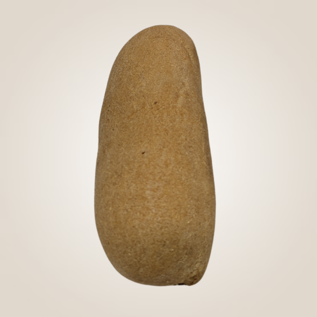 Pane Hot Dog (100g)
