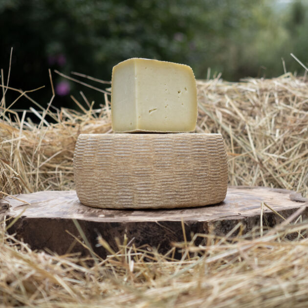 Canestrella Senza Lattosio (500g)