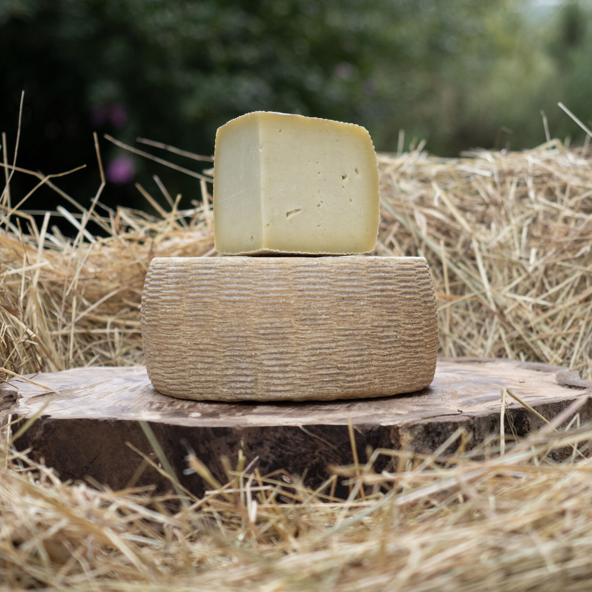 Canestrella Senza Lattosio (500g)