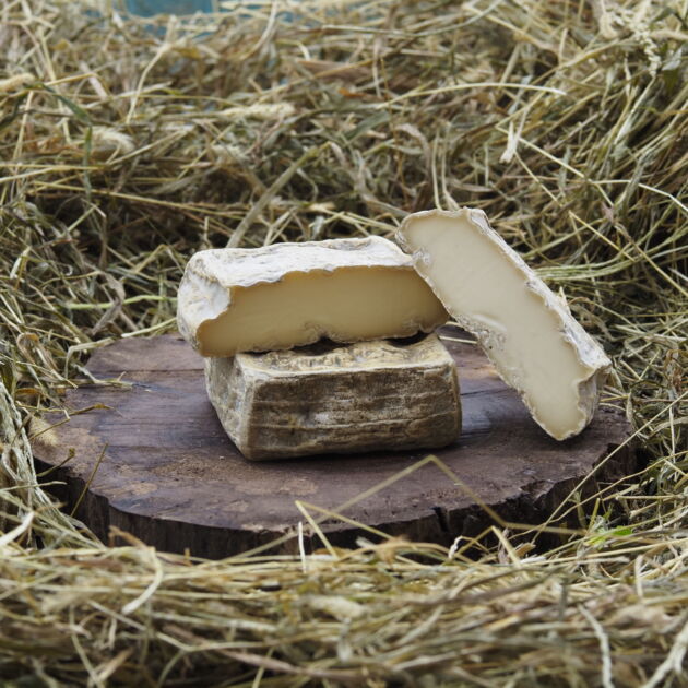 El Quadrel de la Giusy Senza Lattosio (450g)