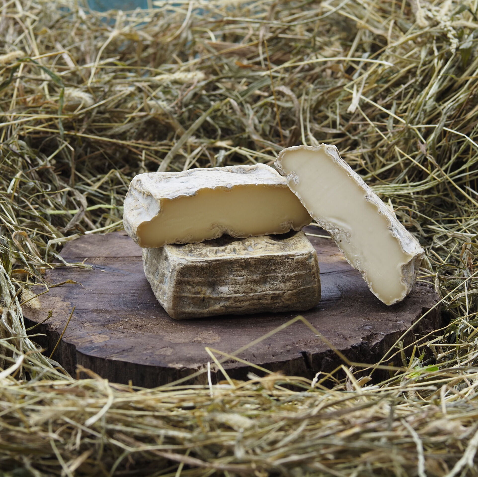 El Quadrel de la Giusy Senza Lattosio (450g)