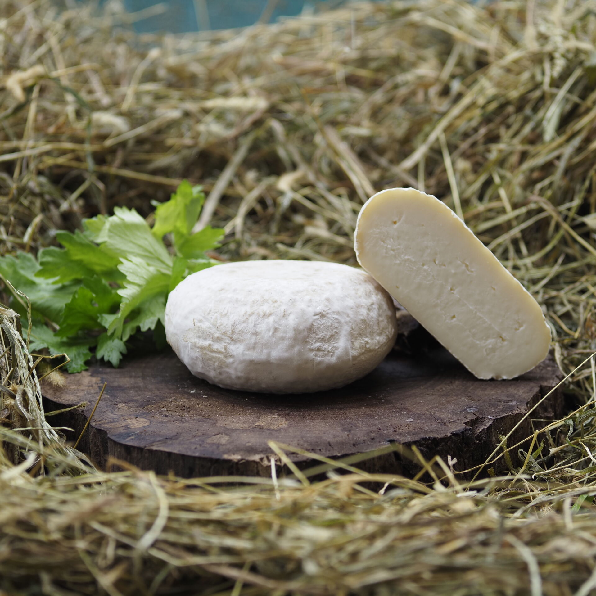 Italico Senza Lattosio (450g)