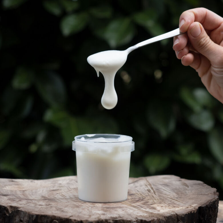 4pz Yogurt Senza Lattosio (1000g)