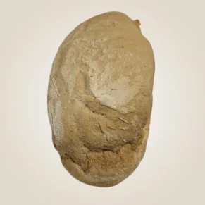 filone di pane senza glutine