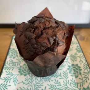 muffin doppio cioccolato senza glutine