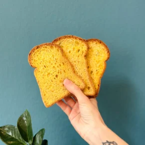 pan brioche senza glutine
