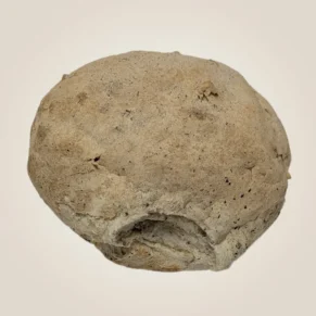 pane integrale senza glutine