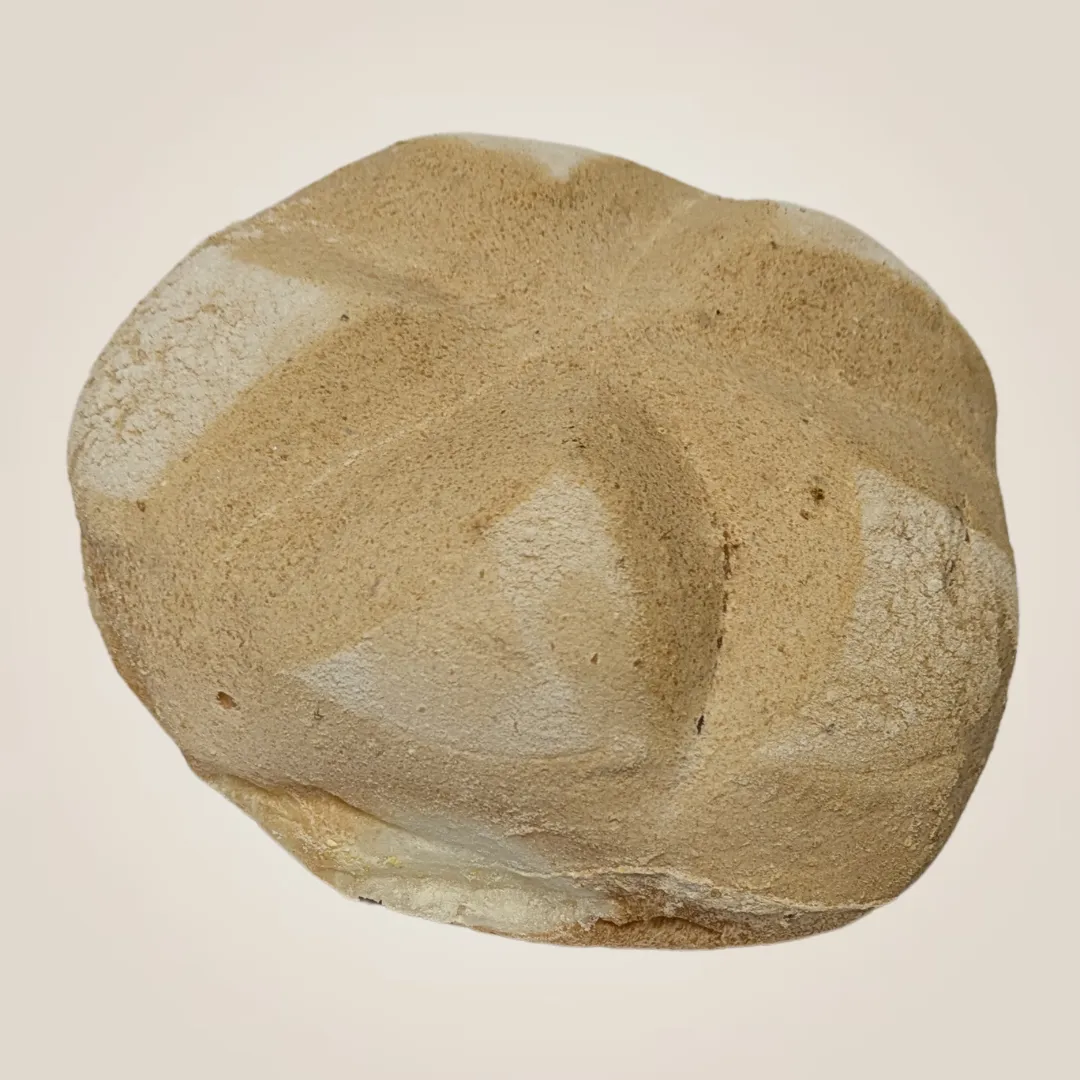 rosetta senza glutine