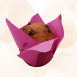 muffin gocce cioccolato senza glutine