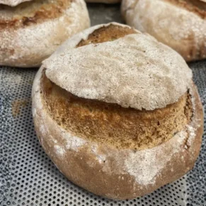 pagnotta senza glutine