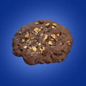 cookies cioccolato senza glutine