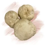 pane teff senza glutine