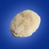 panino medio senza glutine