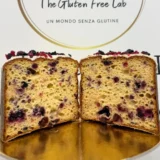 panettone frutti bosco senza glutine gluten free lab
