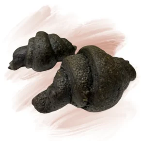 croissant carbone senza glutine